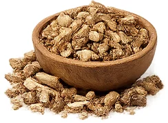 {{OFFER_NAME}} — экстракт корня эхинацеи (Echinacea purpurea)